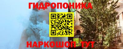 a pvp Обнинск