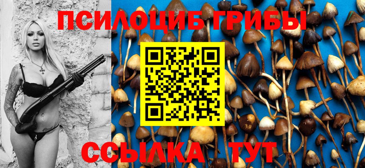 Псилоцибиновые грибы мухоморы Усинск